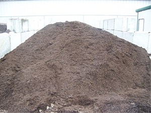 Black hummis compost
